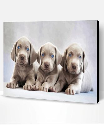 Aesthetic Weimaraner Puppies Paint By Number