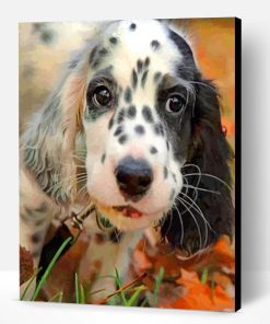Black And White Irish Setter Paint By Number