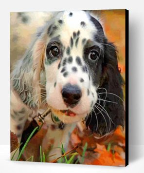Black And White Irish Setter Paint By Number