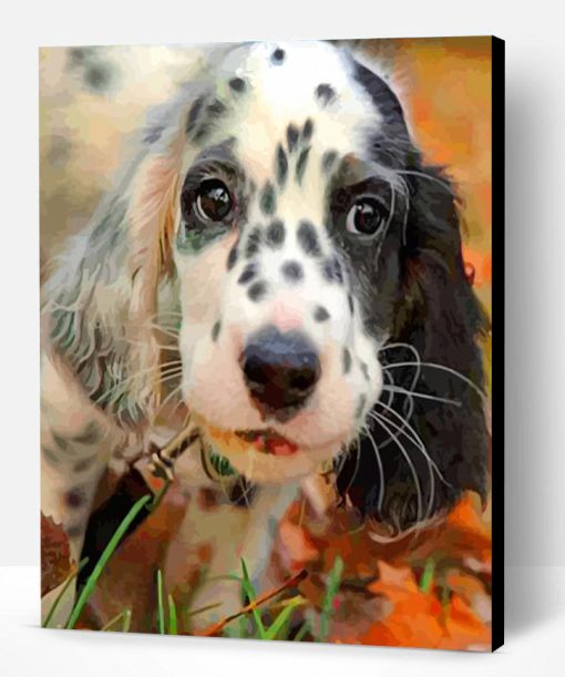 Black And White Irish Setter Paint By Number