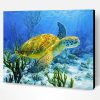 Sea Turtle Paint By Number