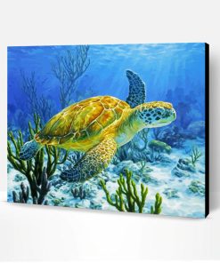 Sea Turtle Paint By Number