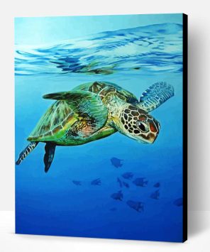 Sea Turtle Swimming In The Water Paint By Number