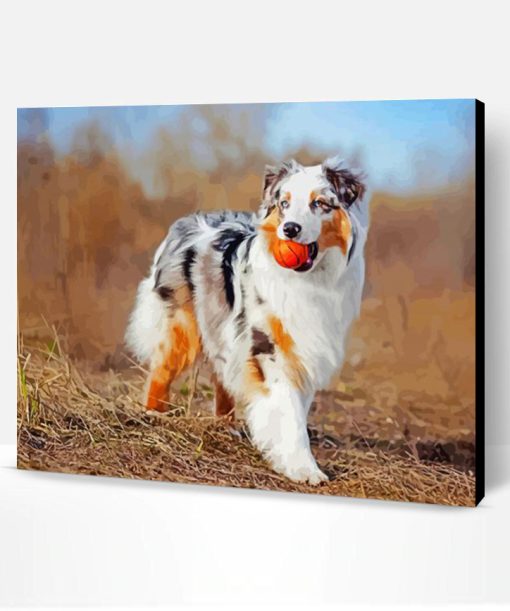 Australian Shepherd Puppy Paint By Number