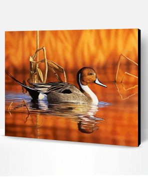 Waterfowl Duck Paint By Number