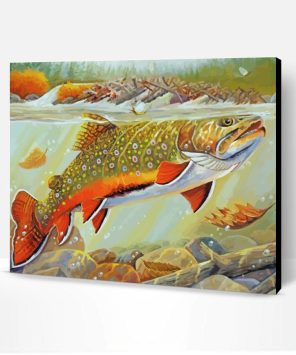 Trout Fish Underwater Paint By Number