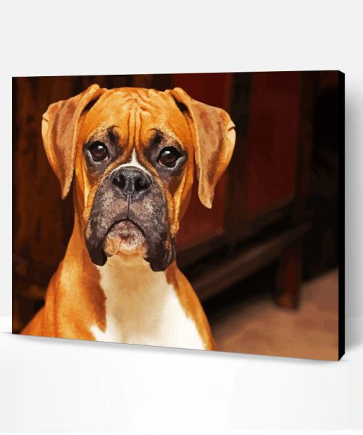 Brown Boxer Dog Paint By Number