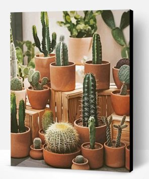 Cactus pots Paint By Number