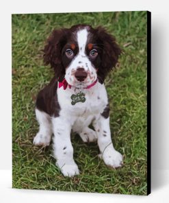 English Springer Spaniel Paint By Number