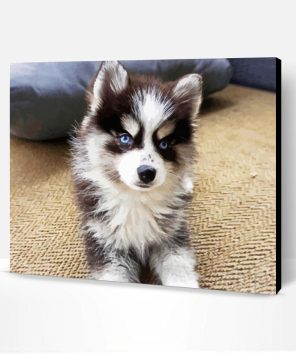 Pomsky Puppy Paint By Number