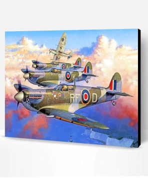 Spitfires Paint By Number