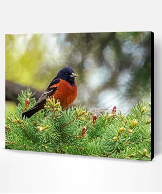 Aesthetic Orchard Oriole Paint By Number