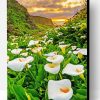Arum Lilies In Field Landscape Paint By Number