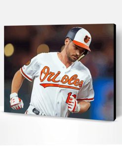 Baltimore Orioles Player Paint By Number