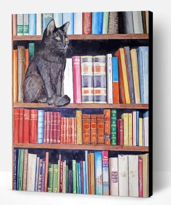 Black Cat In Bookshelves Paint By Number