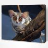 Bush baby Animal Paint By NumbeR