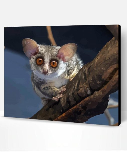 Bush baby Animal Paint By NumbeR