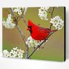 Cardinal And White Flowers Paint By Number