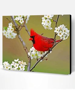 Cardinal And White Flowers Paint By Number