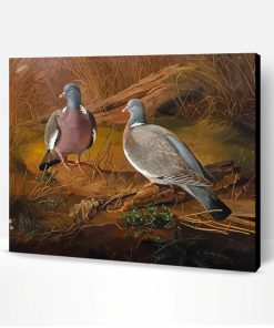 Common Wood Pigeon Birds Art Paint By Number