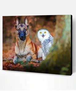 Dog White Owl Bird Paint By Number