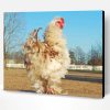 Frizzle Chicken Paint By Number