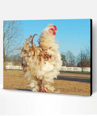 Frizzle Chicken Paint By Number