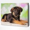 German Shepherd Puppy Dog Paint By Number