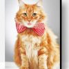 Ginger Cat With Bow Tie Paint By Number