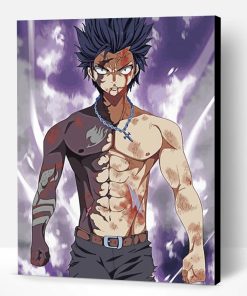Gray Fullbuster Paint By Number