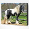 Gypsy Vanner Horse Paint By Number