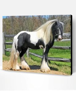 Gypsy Vanner Horse Paint By Number