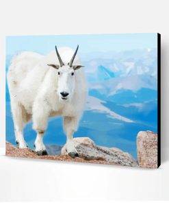 Mountain Goat Paint By Numbers