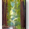 Muir Woods National Monument Poster Art Paint By Number