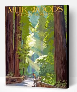 Muir Woods National Monument Poster Art Paint By Number