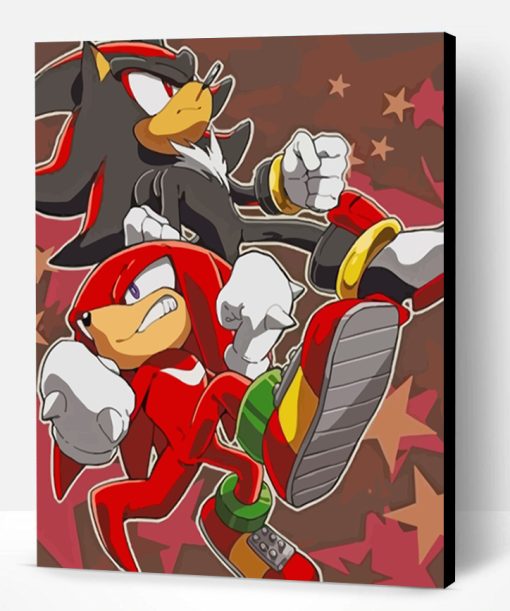 Shadow And Knuckles Characters Paint By Number