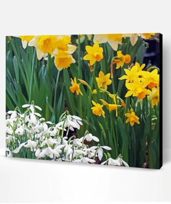 Snowdrops And Daffodils Paint By Number