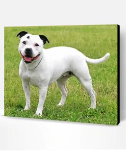 White Staffy Dog Paint By Number