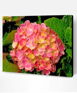 Yellow And Pink Hydrangeas Paint By Number