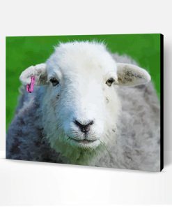 Adorable Herdwick Sheep Paint By Number