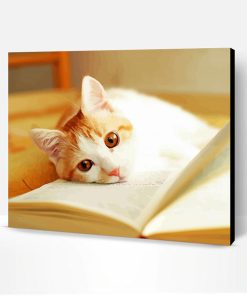 Adorable Cat With Book Paint By Number