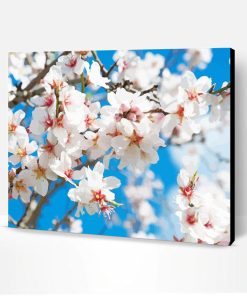 Aesthetic Almond Blossom Paint By Number
