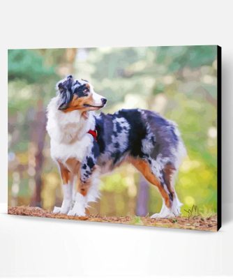 Aesthetic Australian Shepherd Paint By Number