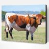 Aesthetic Long Horn Cattle Paint By Number