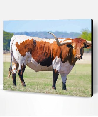 Aesthetic Long Horn Cattle Paint By Number