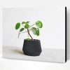 Aesthetic Minimalist Plant Paint By Number
