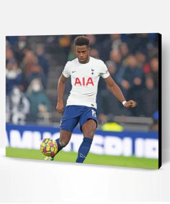 Aesthetic Tottenham Player Paint By Number