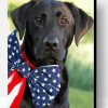 Aesthetic Black Lab With Flag Paint By Number