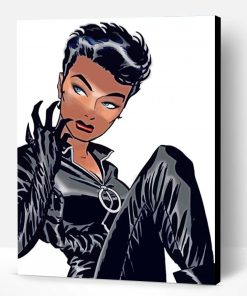 Aesthetic Selina Kyle Paint By Number