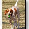 Aesthhetic Red Tick Coonhound Paint By Numbers
